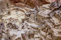 Hot Springs, South Dakota -10.2021: bones being excavated at the Mammoth Dig site caused by a collapsed sink hole Royalty Free Stock Photo