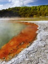 Crater Lake, Volcanic Landscape, Rotorua Royalty Free Stock Photo