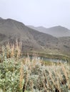 Hot springs state park Thermopolis,  Wyoming Big horn River Royalty Free Stock Photo