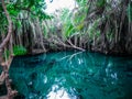 Hot Springs Tanzania