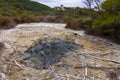 Hot springs at Turangi in New Zealand Royalty Free Stock Photo