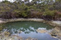 Hot springs at Turangi in New Zealand Royalty Free Stock Photo