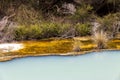 Hot springs at Waimangu geothermal park.