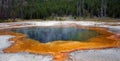 Hot steam rising off Emerald Pool hot spring in the Black Sand Geyser Basin in Yellowstone National Park in Wyoming USA Royalty Free Stock Photo