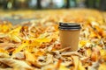 Hot steaming cup of coffee on autumn leaves Royalty Free Stock Photo