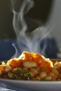 Hot, steaming meal Royalty Free Stock Photo