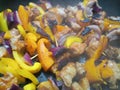 Close-up of crispy orange pepper and red onions burning on chicken skewers