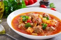 Hot stew tomato soup with meatballs and vegetables Royalty Free Stock Photo