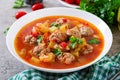 Hot stew tomato soup with meatballs and vegetables Royalty Free Stock Photo