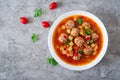 Hot stew tomato soup with meatballs and vegetables Royalty Free Stock Photo