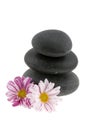 Hot stones with flowers Royalty Free Stock Photo