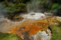 Hot Stream with mineral sediments, Waimangu Volcan Royalty Free Stock Photo