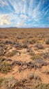 A hot summer day in a dry highland savanna in south Africa with a cloudy sky copyspace. An empty landscape with green Royalty Free Stock Photo