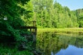 A hot summer day in the Nevsky Forest Park