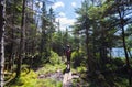 Hot summer hikes in New Hampshire forests and mountains
