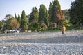 Hot summer in Pitsunda, Abkhazia. Fresh air. Tropical landscape