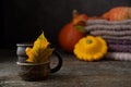 Hot tea cup with autumn decorations, Thanksgiving, autumn background Royalty Free Stock Photo