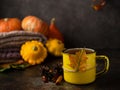 Hot tea cup with autumn decorations, Thanksgiving, autumn background Royalty Free Stock Photo