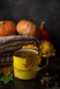 Hot tea cup with autumn decorations, Thanksgiving, autumn background Royalty Free Stock Photo