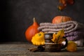 Hot tea cup with autumn decorations, Thanksgiving, autumn background, selective focus Royalty Free Stock Photo