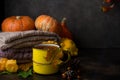 Hot tea cup with autumn decorations, Thanksgiving, autumn background, selective focus Royalty Free Stock Photo