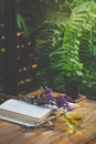 Hot tea in a cup with old book and flower on table. Royalty Free Stock Photo