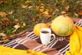 Hot tea cup on plaid background, autumn leaves and small pumpkins, autumn picnic, mood, Autumn thanksgiving romantic.