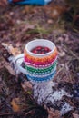 Hot tea in the forest. Concept picnic in the park. Autumn leaves and hot steaming cup of herbal tea with berries in woolen coat