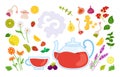 Hot tea herbs fruits cartoon set kettle cup vector