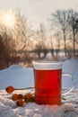 Hot tea from hibiscus and rose hip fruits outdoors in the snow, Royalty Free Stock Photo