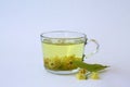 Hot Tea from Linden flowers in glass cup with bloom flowers Royalty Free Stock Photo