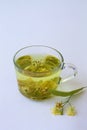 Hot Tea from Linden flowers in glass cup with bloom flowers Royalty Free Stock Photo