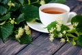 Hot tea made from lime in a pot with a branch