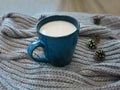 Hot tea with milk, brown knitted scarf and cones Royalty Free Stock Photo