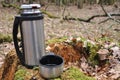 Hot tea in thermos for a walk in the woods Royalty Free Stock Photo