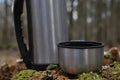 Hot tea in thermos for a walk in the woods Royalty Free Stock Photo