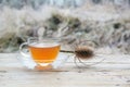 Hot tea and a wild cardoon or wild teasel (Dipsacus fullonum) outdoors on rustic wooden table copy space