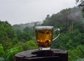 Hot teacup on old log with lush green jungle background, mist and moody sky in rainy cool morning, copy-space Royalty Free Stock Photo