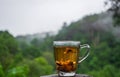 Hot teacup on old log with lush green jungle background, mist and moody sky in rainy cool morning, copy-space Royalty Free Stock Photo