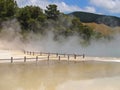 Hot thermal spring, New Zealand