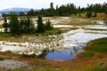 Hot thermal spring West Thumb Geyser Basin area, Yellowstone National Park, Wyoming Royalty Free Stock Photo