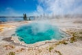 Hot thermal spring in Yellowstone Royalty Free Stock Photo