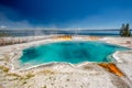 Hot thermal spring in Yellowstone Royalty Free Stock Photo