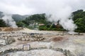 Hot thermal springs in Furnas village, Sao Miguel island, Azores, Portugal Royalty Free Stock Photo
