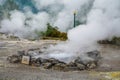 Hot thermal springs and geysers in Furnas Village, Sao Miguel island, Azores, Portugal. Royalty Free Stock Photo