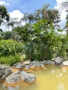 Hot thermal springs in La Fortuna