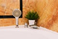 Hot tub in the hotel. Modern bathroom interior. Shower, faucet and a pot with a plant Royalty Free Stock Photo