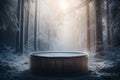 a hot tub in the middle of a forest with snow on the ground and trees in the background, with the sun shining through the fog Royalty Free Stock Photo