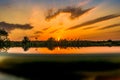 Hot and warm colors and shades of beautiful landscapes of Russia in the Rostov region. Local fields of blooming yellow sunflowers, Royalty Free Stock Photo