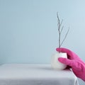 Hot white tea ceramic cup with dry wood branch in zen style with weird hand in colorful pink plastic glove cozy blue interior